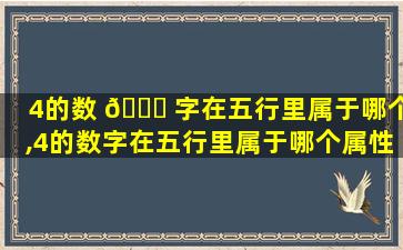 4的数 🐛 字在五行里属于哪个,4的数字在五行里属于哪个属性